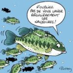 Image de Association Agréée pour la Pêche et la Protection en Milieu Aquatique (AAPPMA)